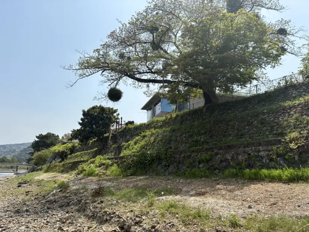 宇治川沿い足元悪い場所