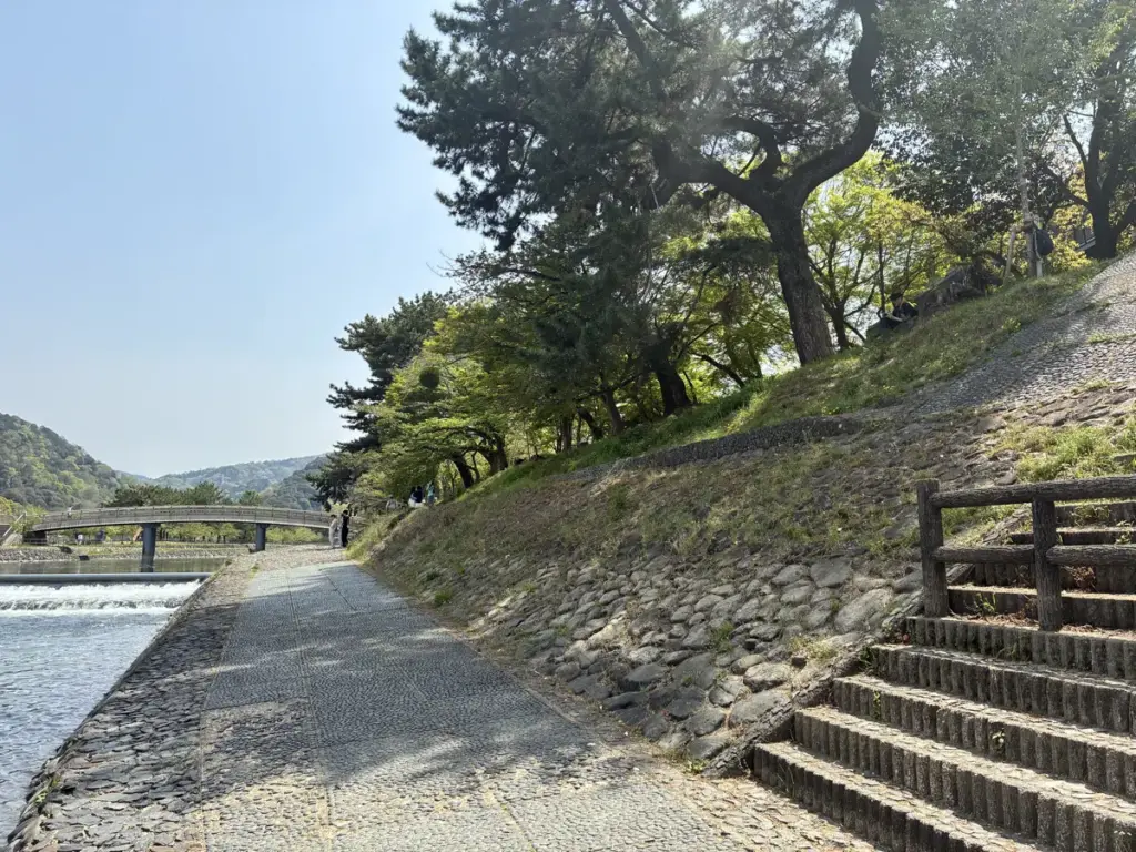 宇治川沿い河川敷