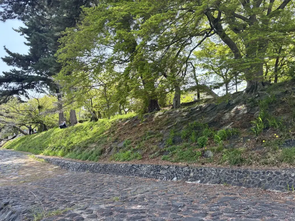 宇治川沿いの木陰