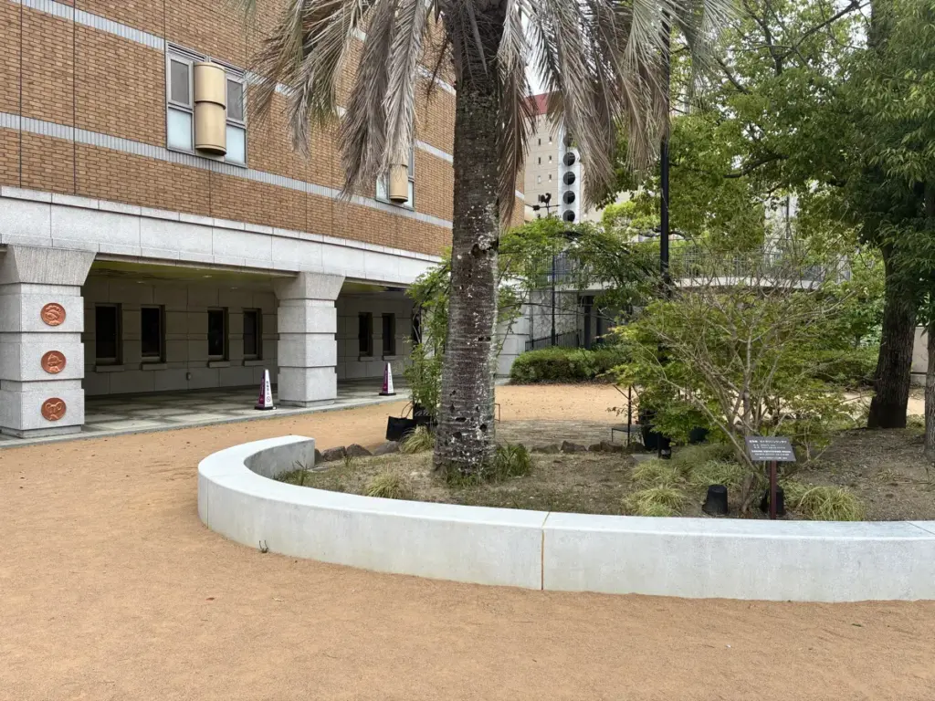 宝塚市立手塚治虫記念館の庭のヤシの木