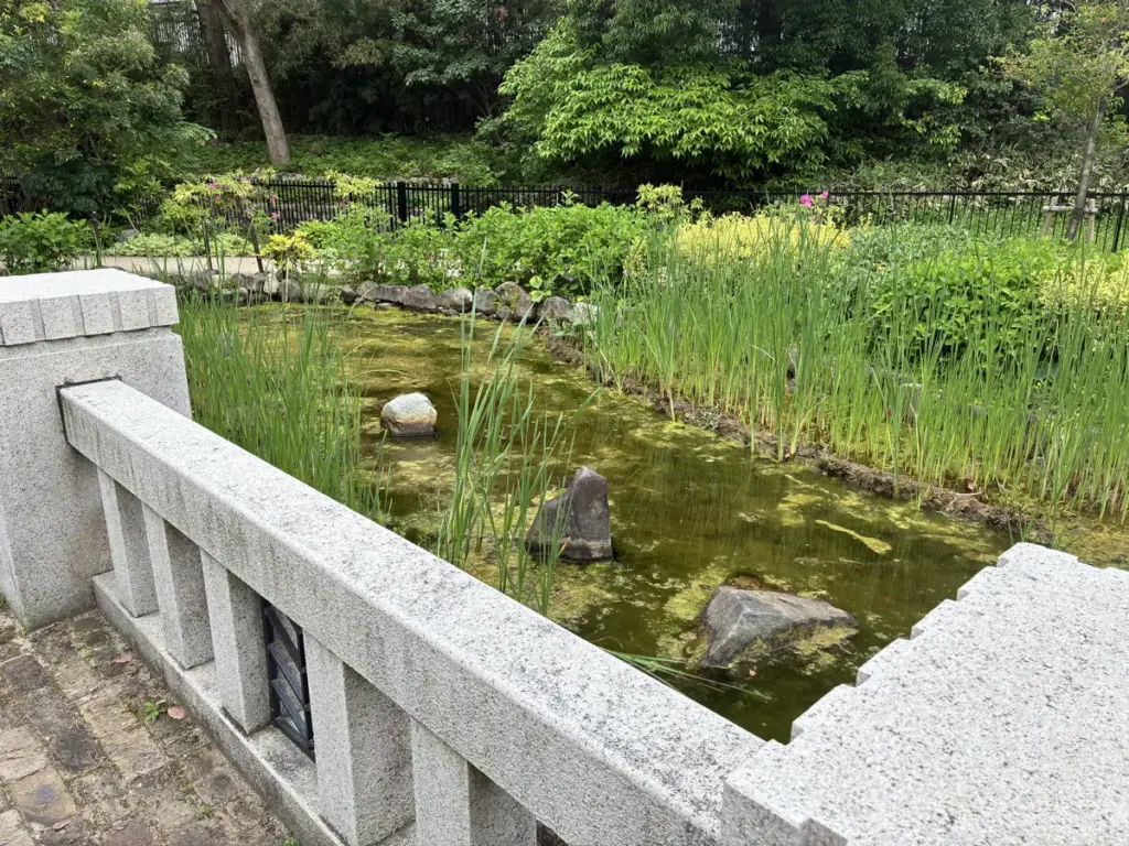 宝塚市立手塚治虫記念館の池