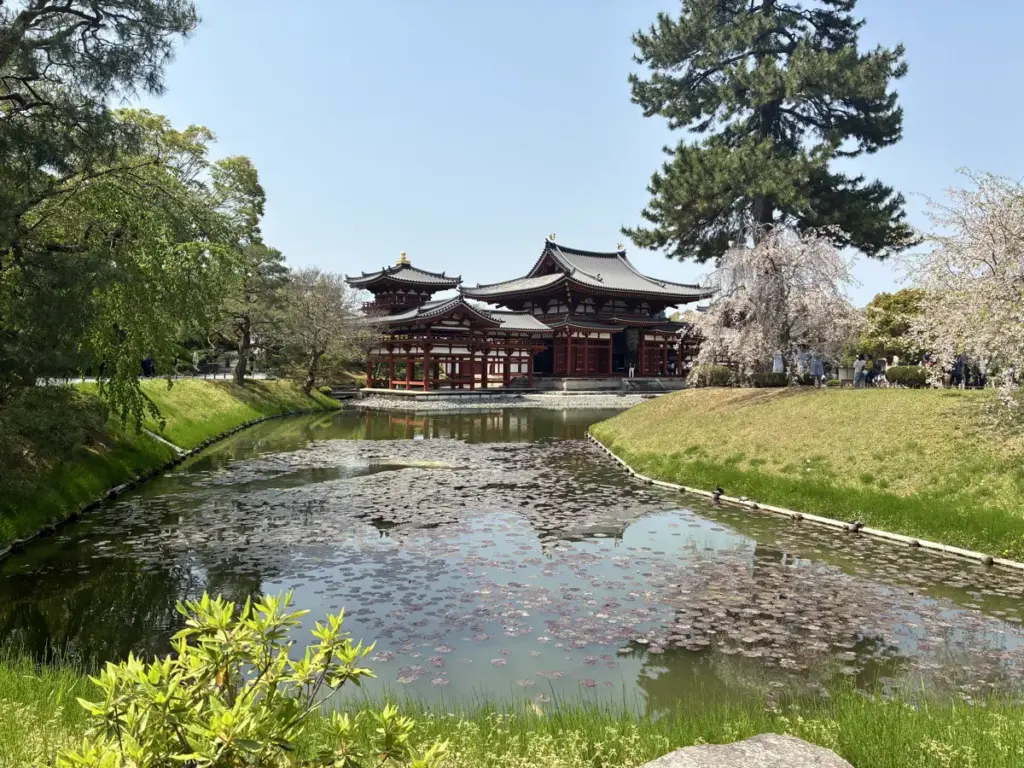 平等院鳳凰堂に流れる川。涼み処にいい