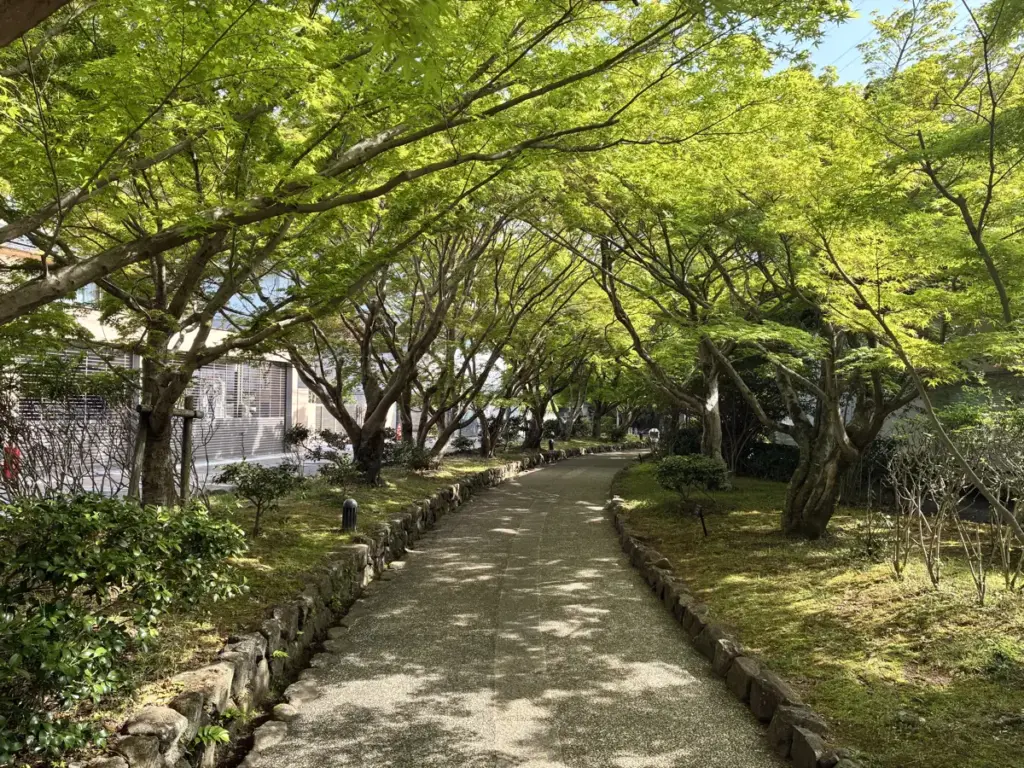 入口までの木陰の道。木のアーチ