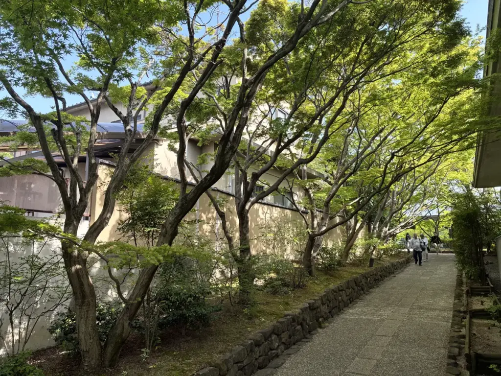 入口までの木陰の道