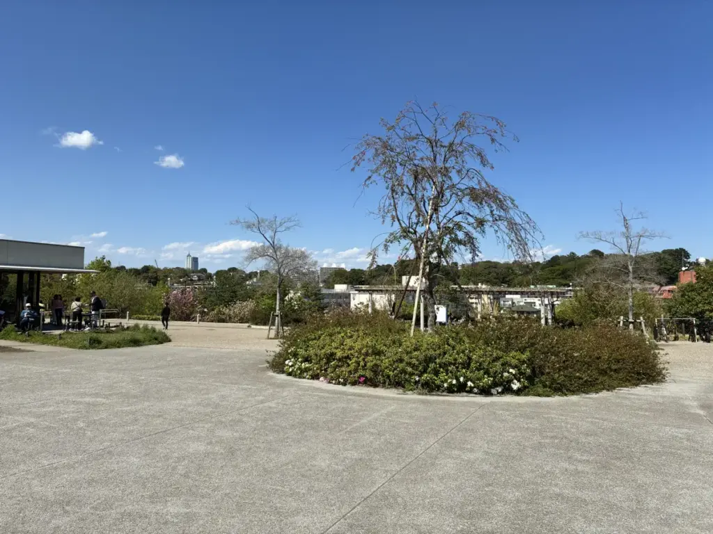 二子玉川公園広場