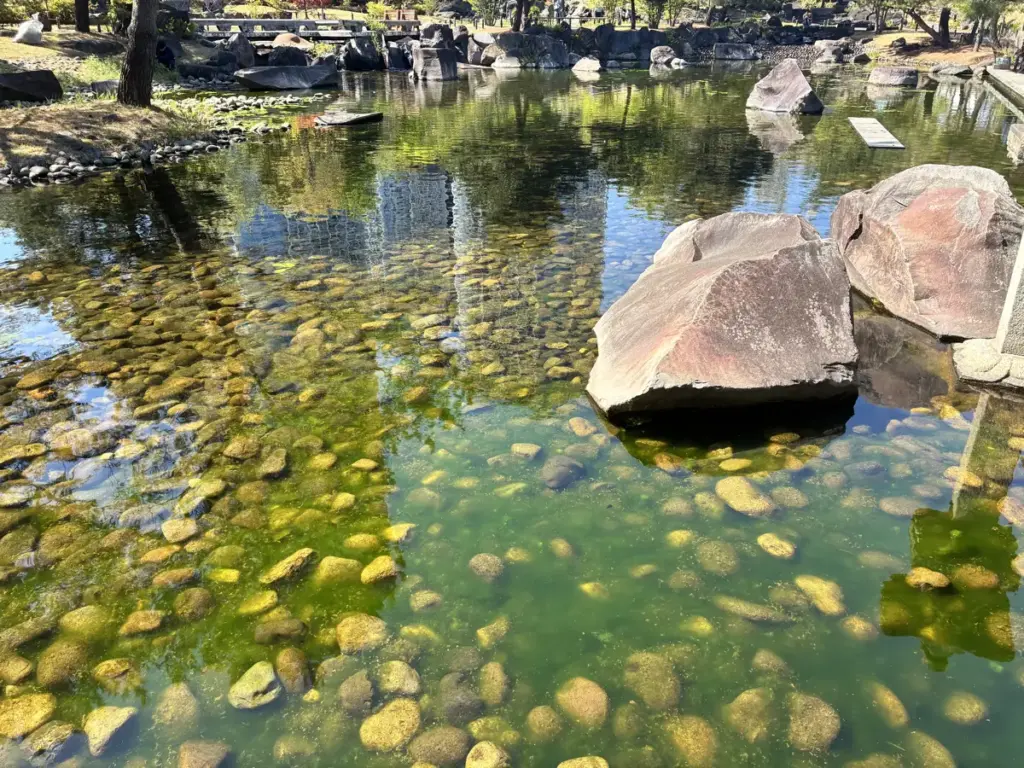 帰真園。池に落ちやすいので注意