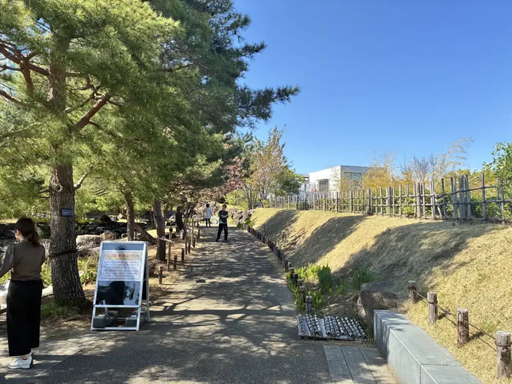 帰真園。木の片蔭がある道