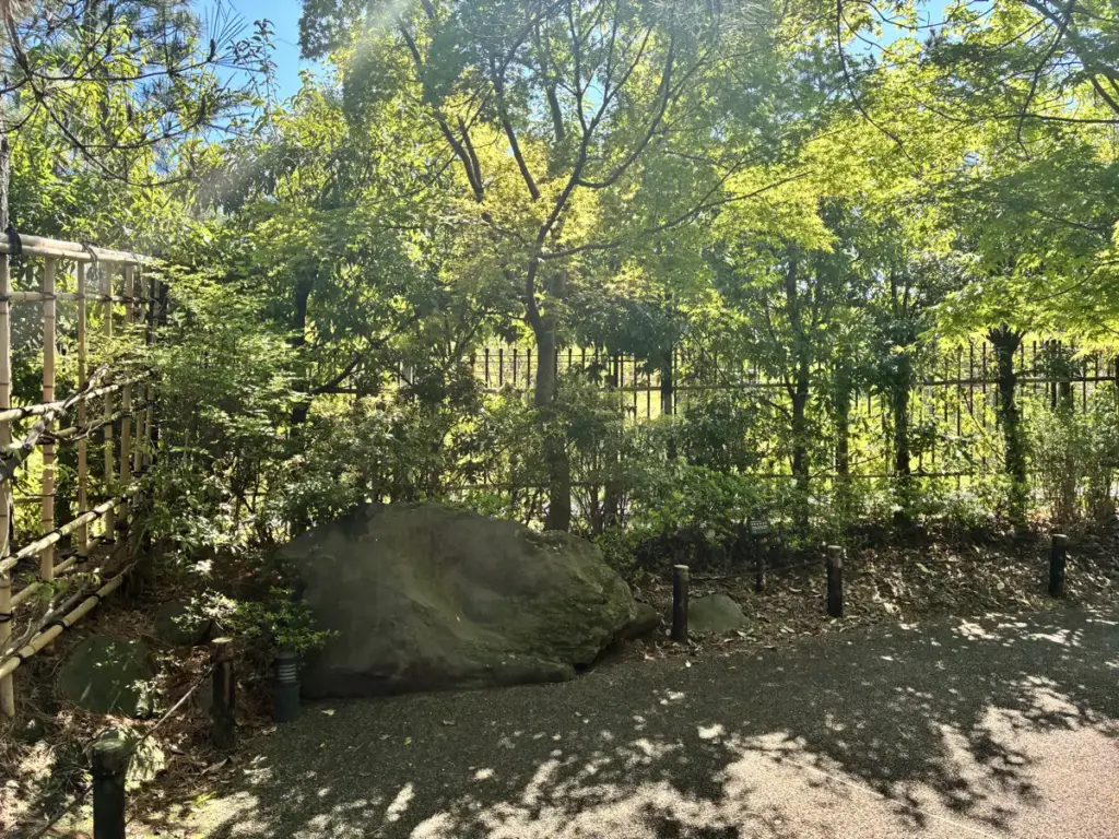 帰真園のなかの木陰エリア