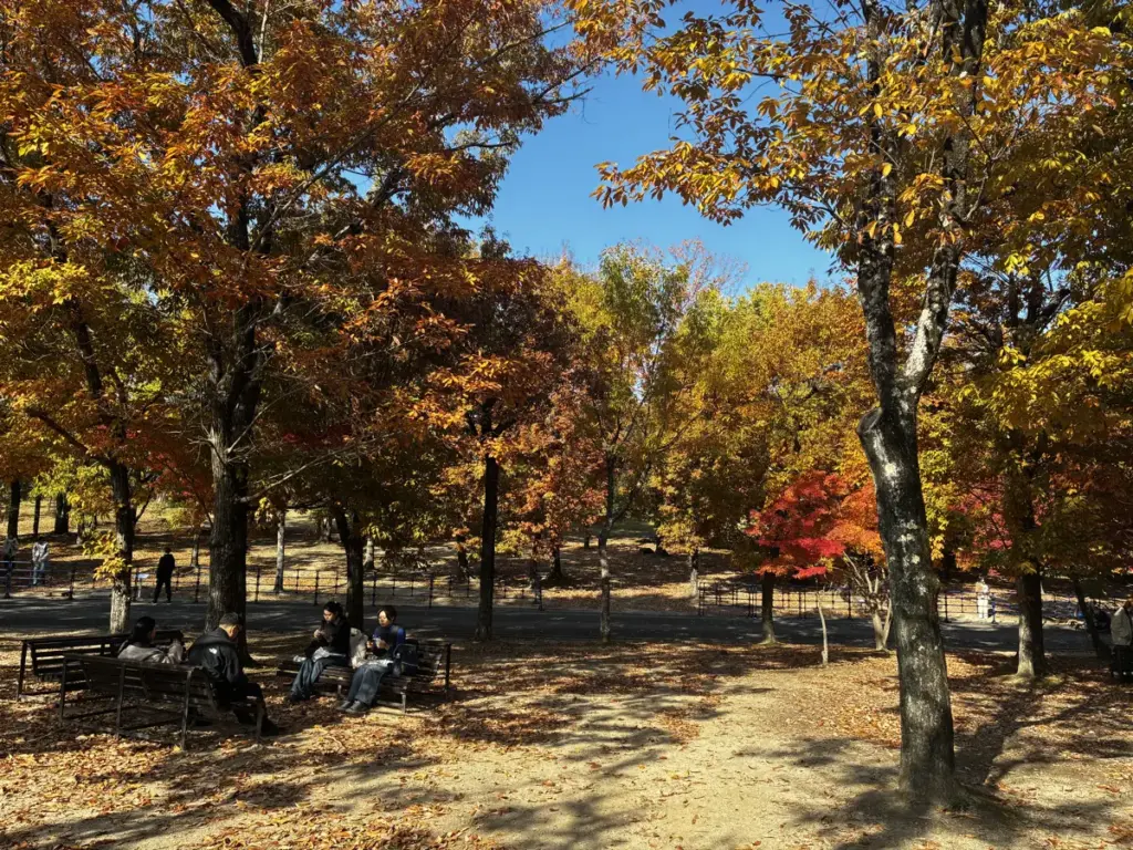 現代美術の森近くのベンチ