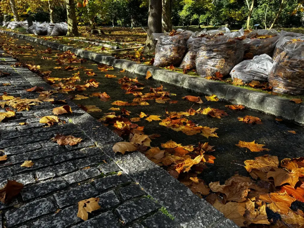 西大路に沿う小川