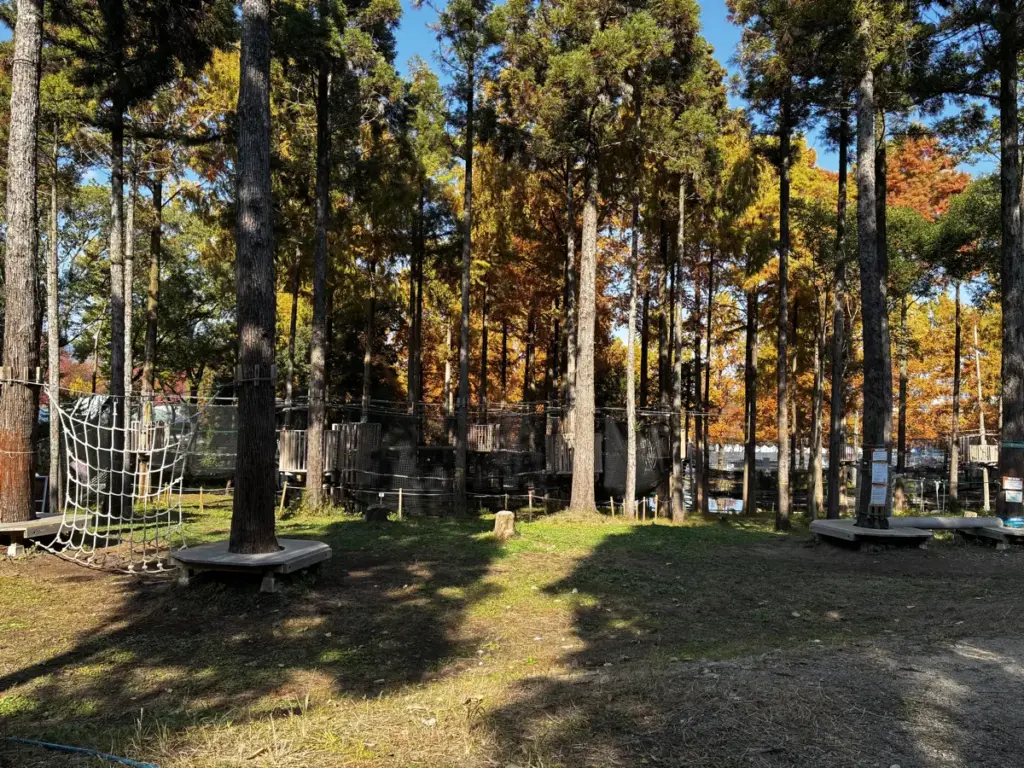 ソラード及び紅葉渓