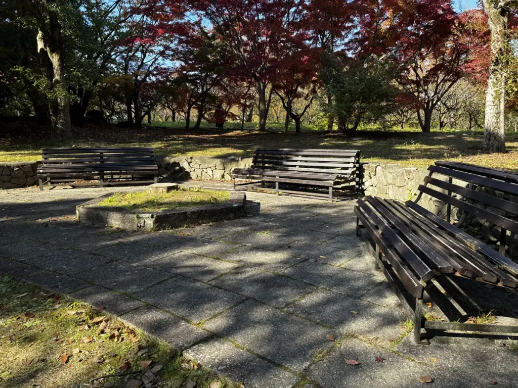 にれの池ベンチ